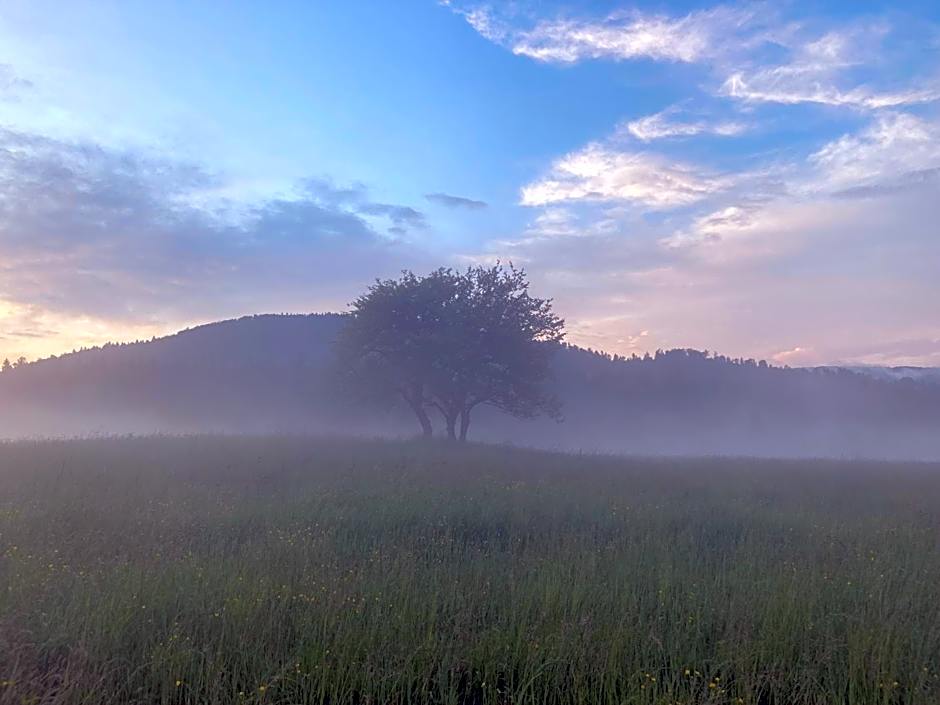 Modryna - Modrzewiowy Dom