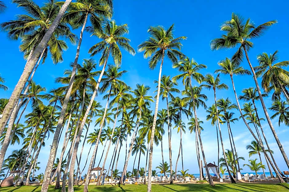 Viva V Samana by Wyndham, A Trademark Adults All Inclusive