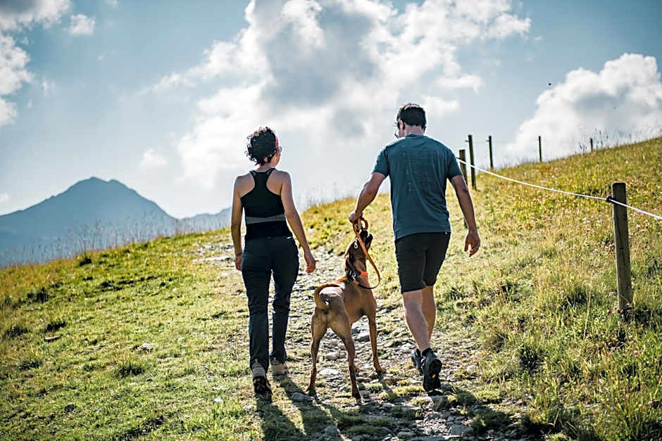 Landhotel Postgut - Tradition seit 1549