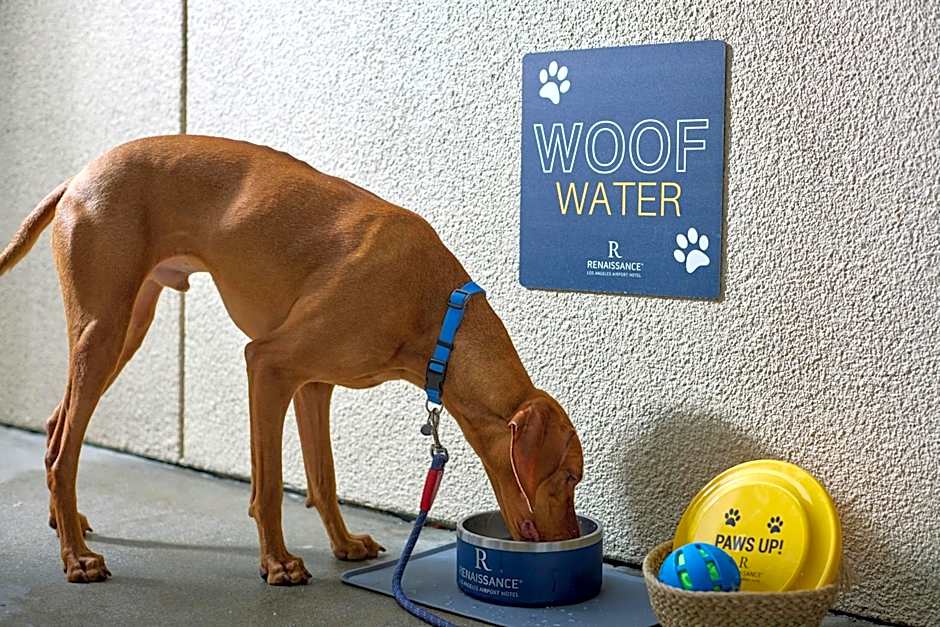 Renaissance Los Angeles Airport Hotel