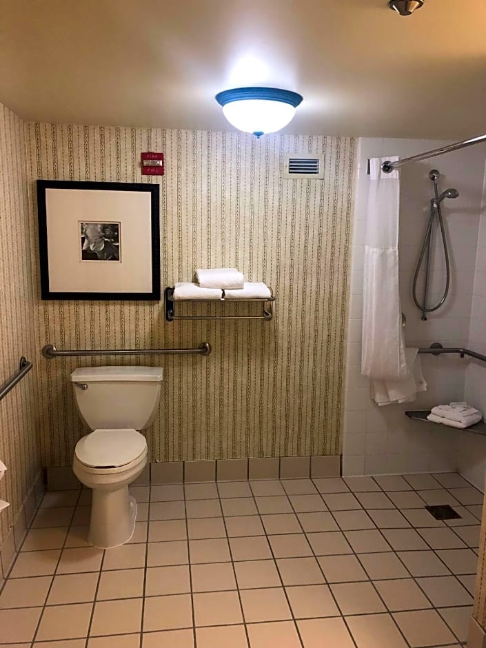 Photo 1 of 3 of 1 King Bed, Mobility Accessible, Roll in Shower