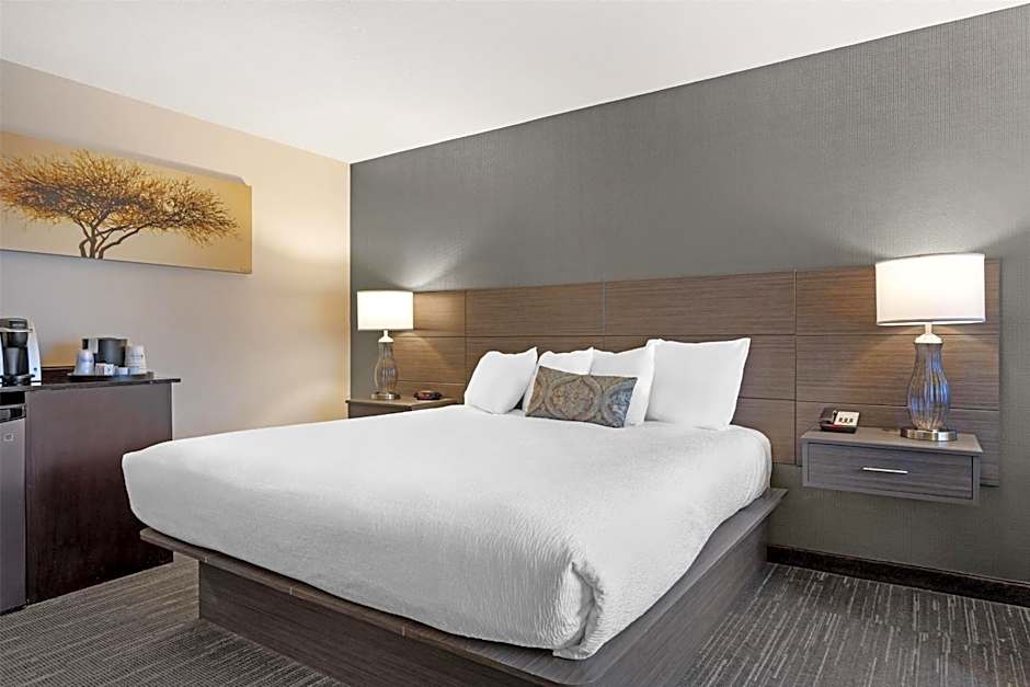 Best Western Plus City Center