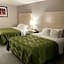 Quality Inn Airport East