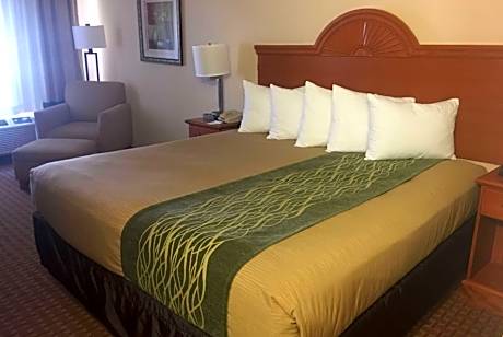 1 King Bed Accessible Room Non-Smoking