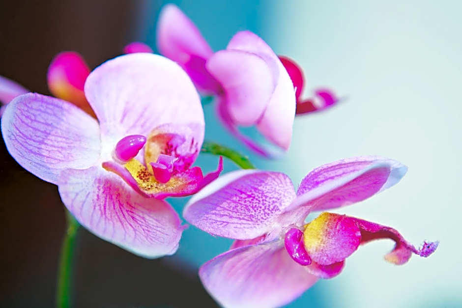 Hotel Altes Gasthaus Schröer