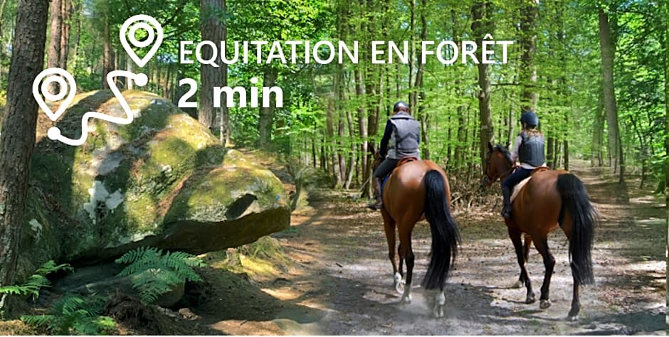 Kabanéo - gîte et sauna- Samois sur Seine - Forêt de Fontainebleau