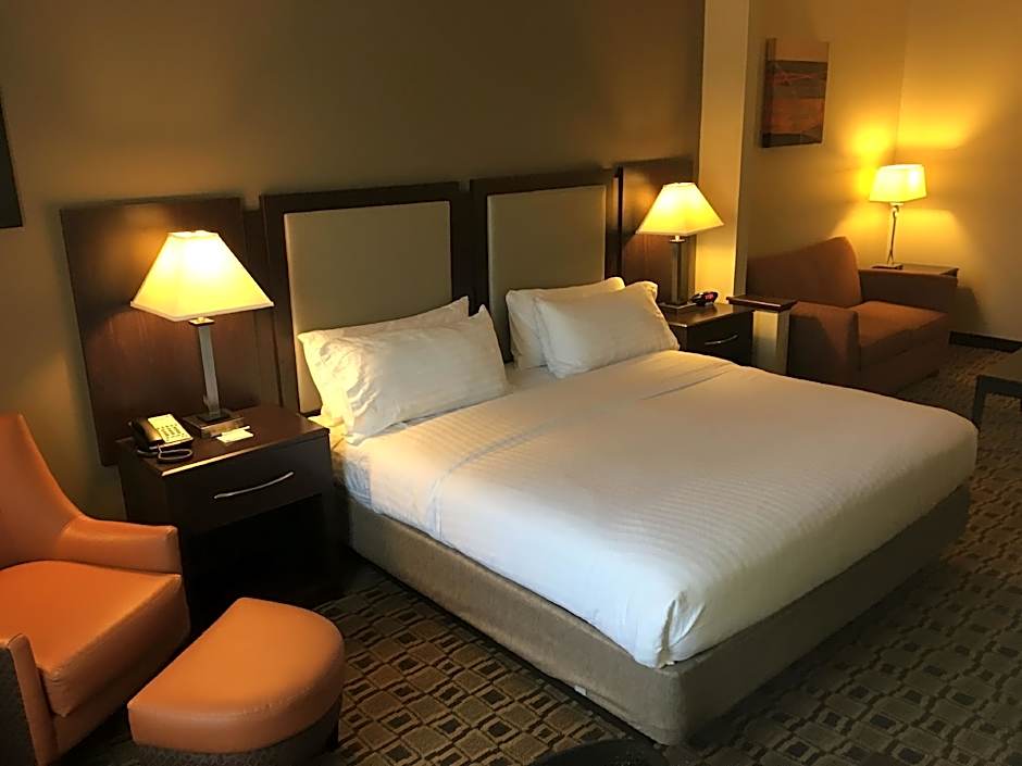 Holiday Inn Express Hotel & Suites Albemarle By IHG