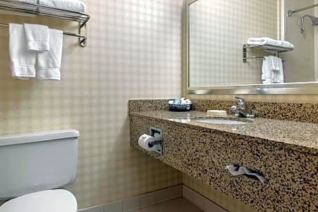 King Suite - Accessible/Non-Smoking