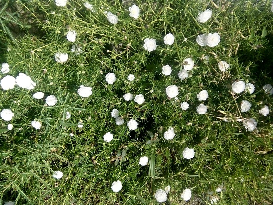 RMTM's Beachfront Accommodation - Caramoan