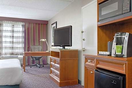 1 King Bed 1 Bedroom Suite With Sofabed