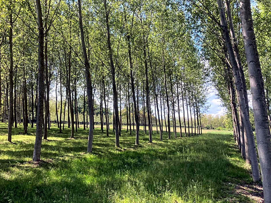 Residence Campagnole