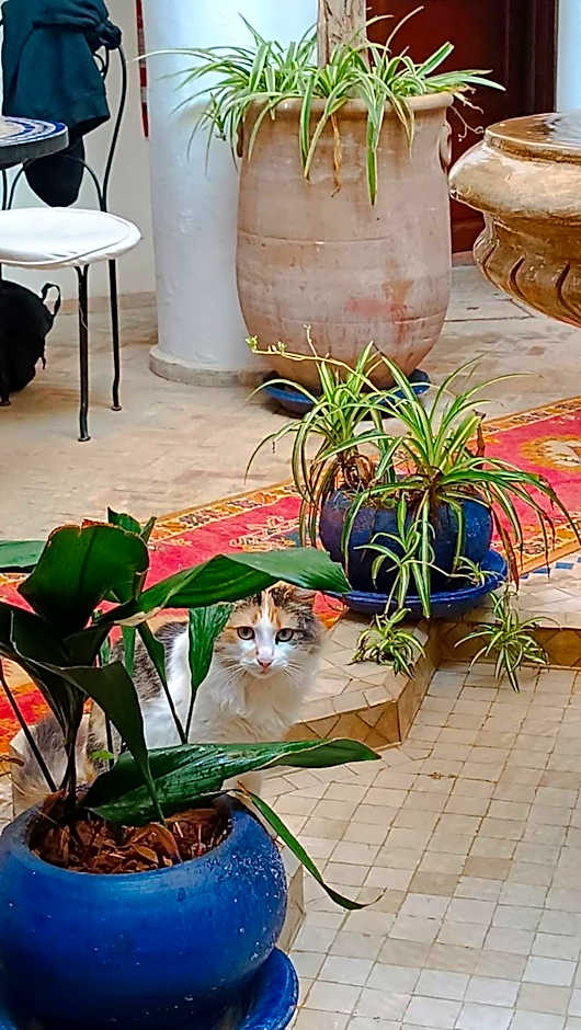 Riad Chams Marrakech