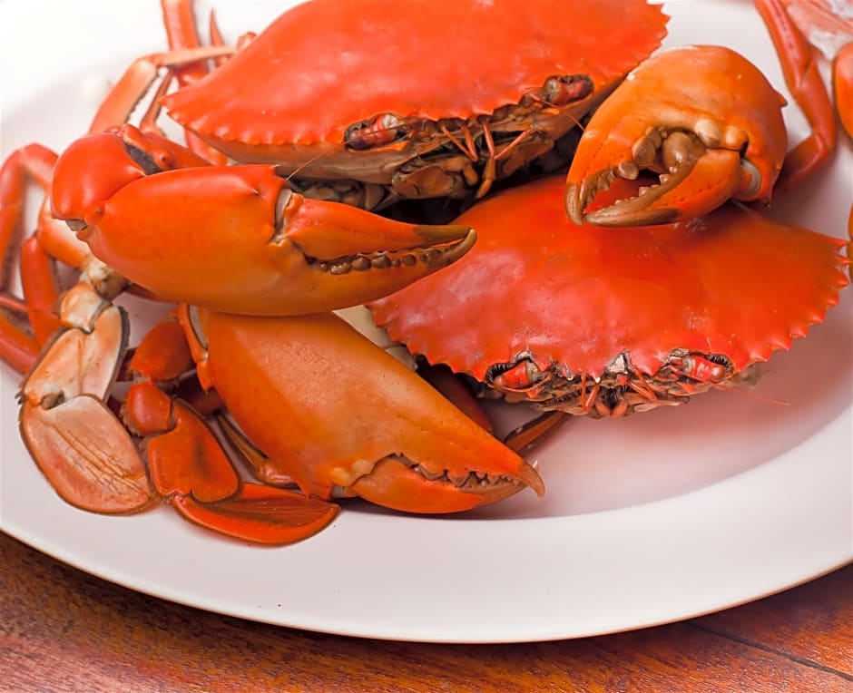 RedDoorz plus @ UNO Jalan Merak Samarinda