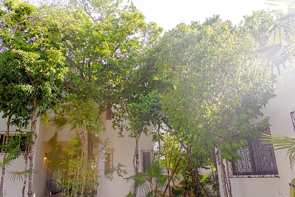 Buena onda residence