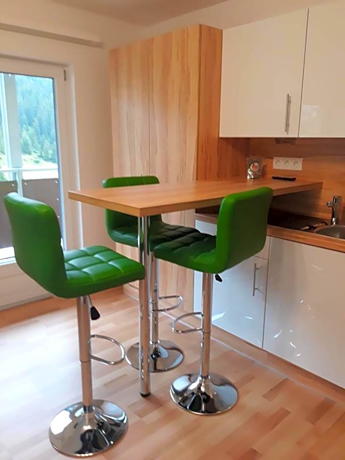 Ferienwohnung Ski-Hans