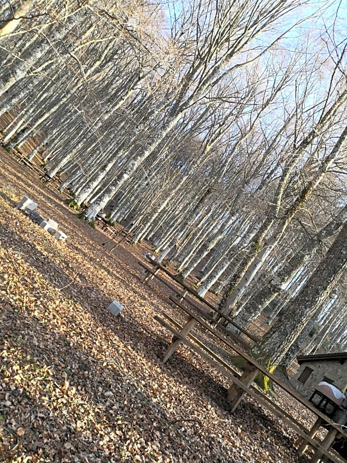 Il sasso bed & breakfast