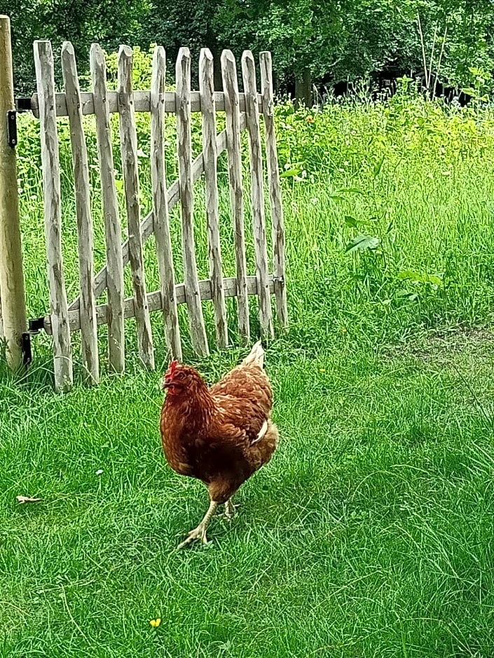 Bij de Vlaamse Schuur