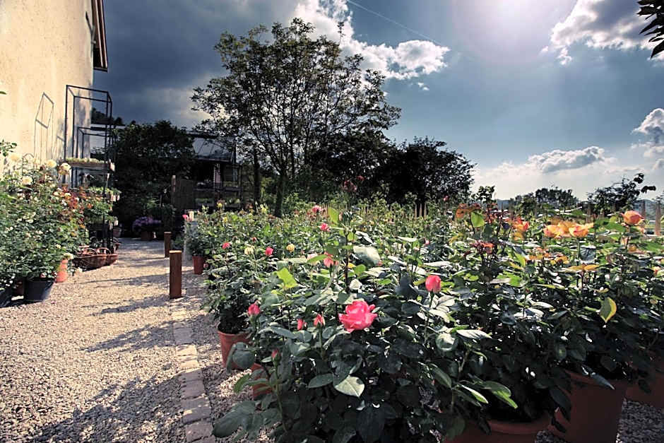 hotel rainhof scheune & naturpark restaurant (Kirchzarten)