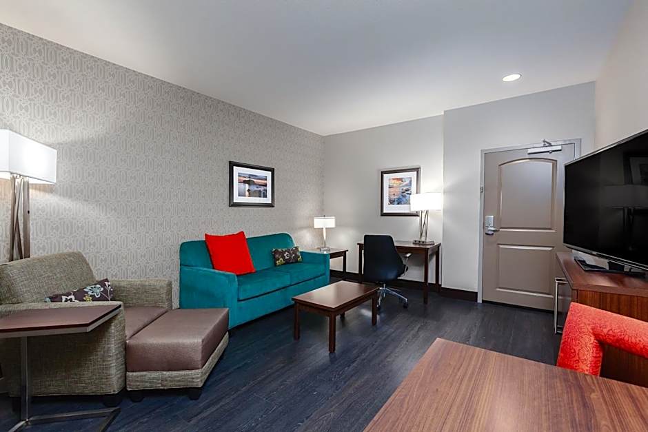 Photo 1 of 3 of 1 King Bed with Sofabed Suite