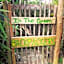 In The Green Backpackers
