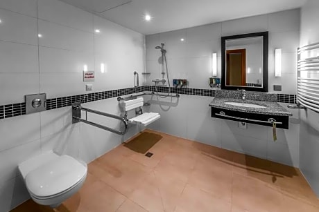 Queen Accessible Room