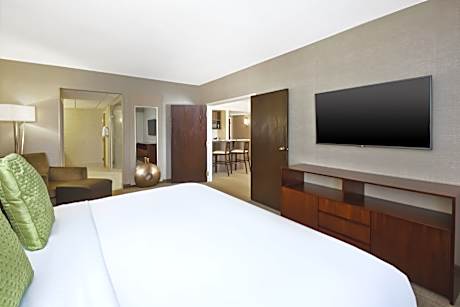1 King 2 Room Suite Hearing Accessible