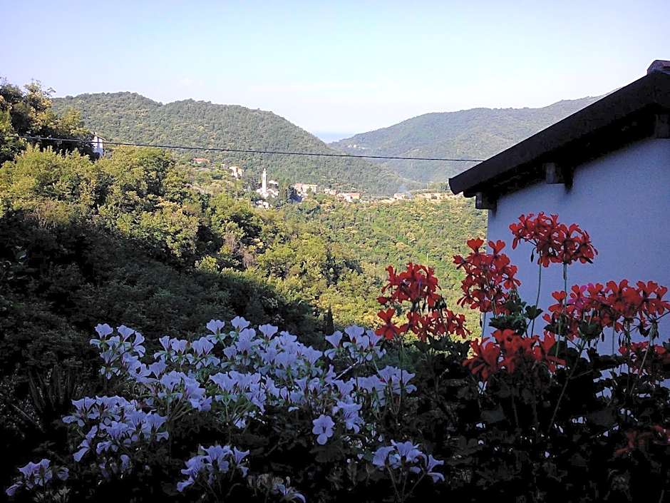 B&B I Glicini