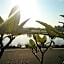 Yilan Real Fun Homestay