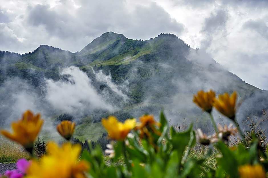 Boutiquehotel Hohes Licht