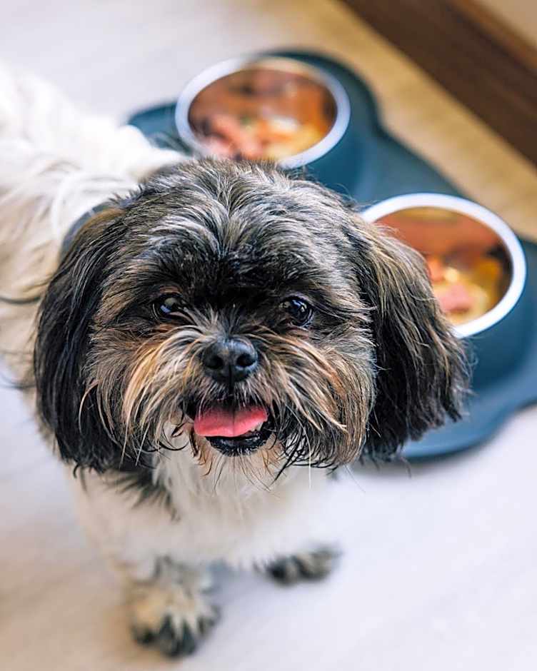 AC Hotel by Marriott Denver Downtown