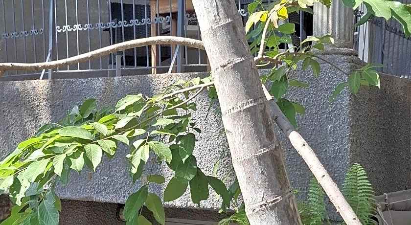 Belvedere on River Guest House