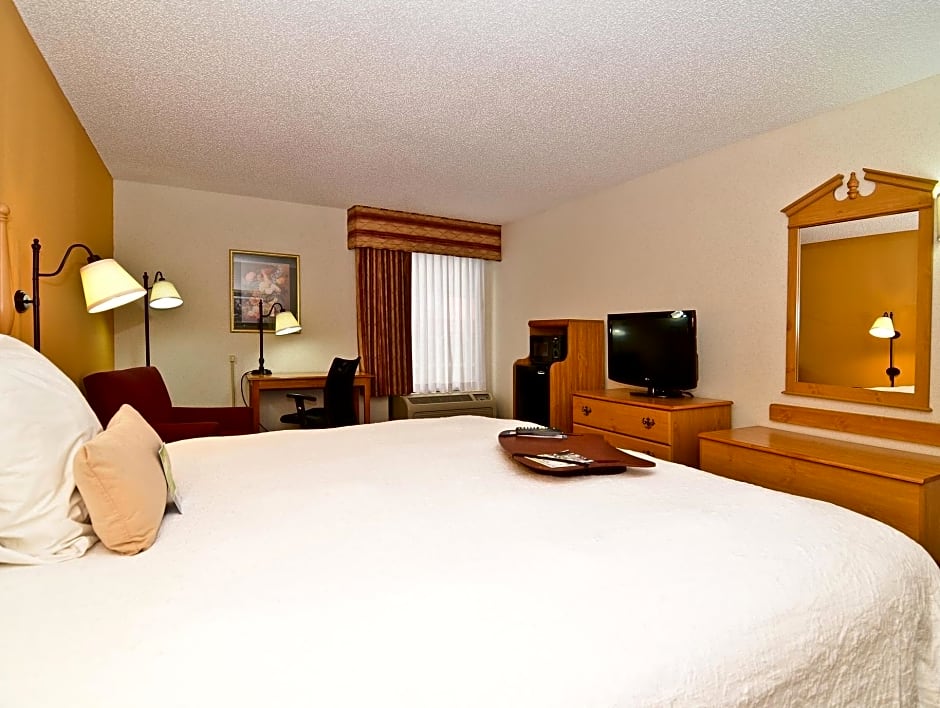 Photo 1 of 6 of 1 King Bed, Mobility Accessible, Bathtub