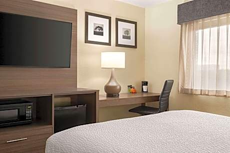 1 Queen Bed Non-Smoking