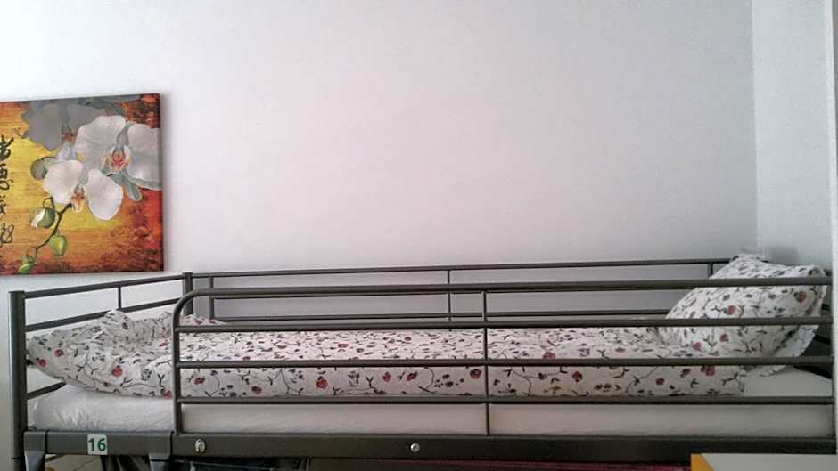 Lemon Tree Hostel – Krakow, NY