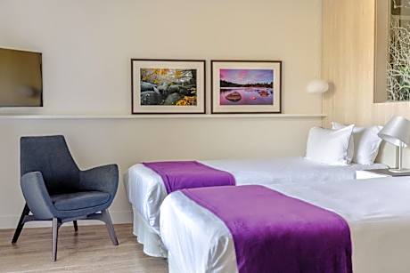 Superior Twin Room with Mountain View