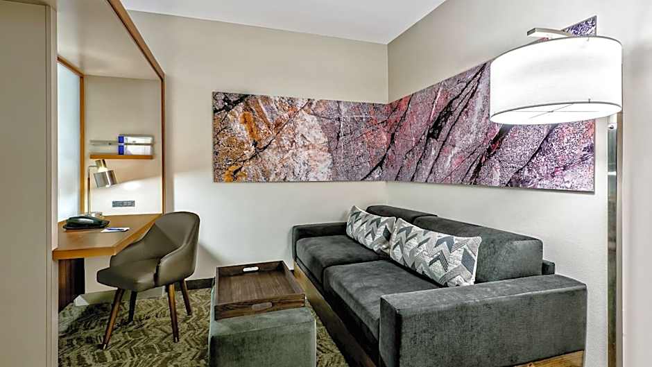 SpringHill Suites by Marriott San Antonio SeaWorld/Lackland