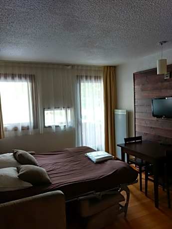 Studio 2 Adults with Balcony " LE HAUT"