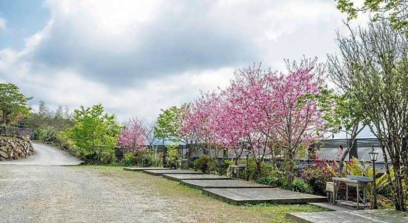 Seeking-Alishan Sunrise