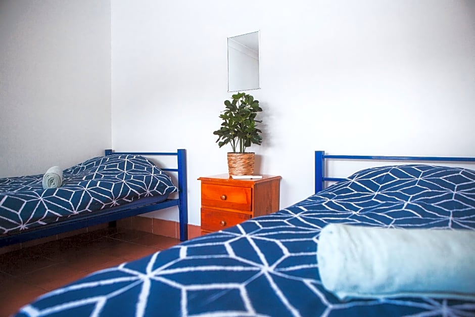 Budds In Surfers Backpackers