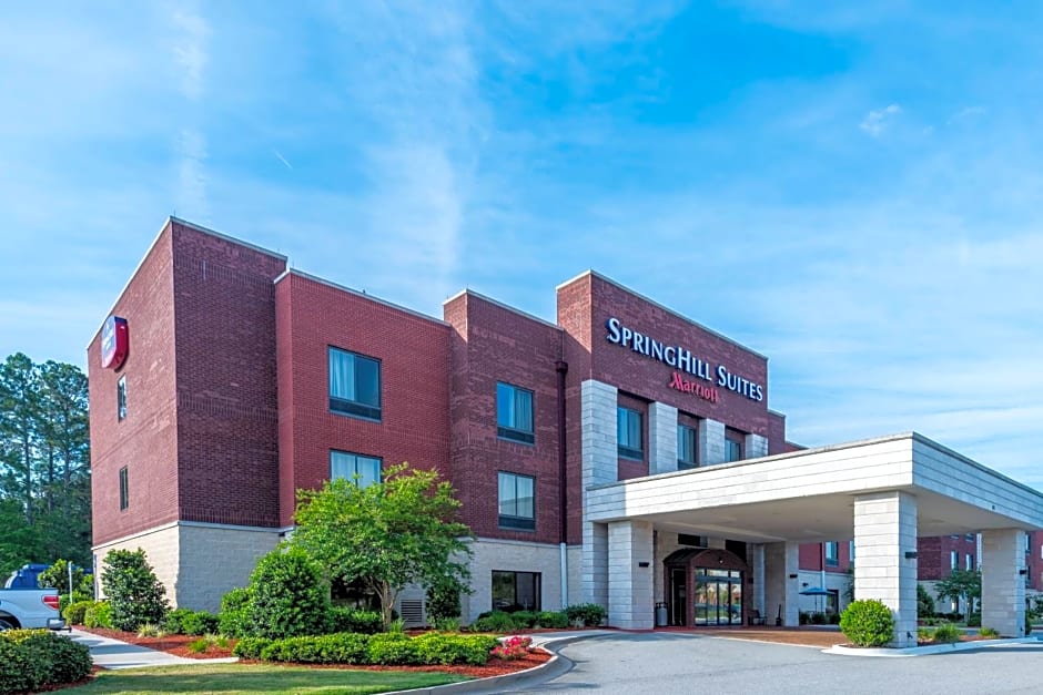 SpringHill Suites by Marriott Statesboro University Area