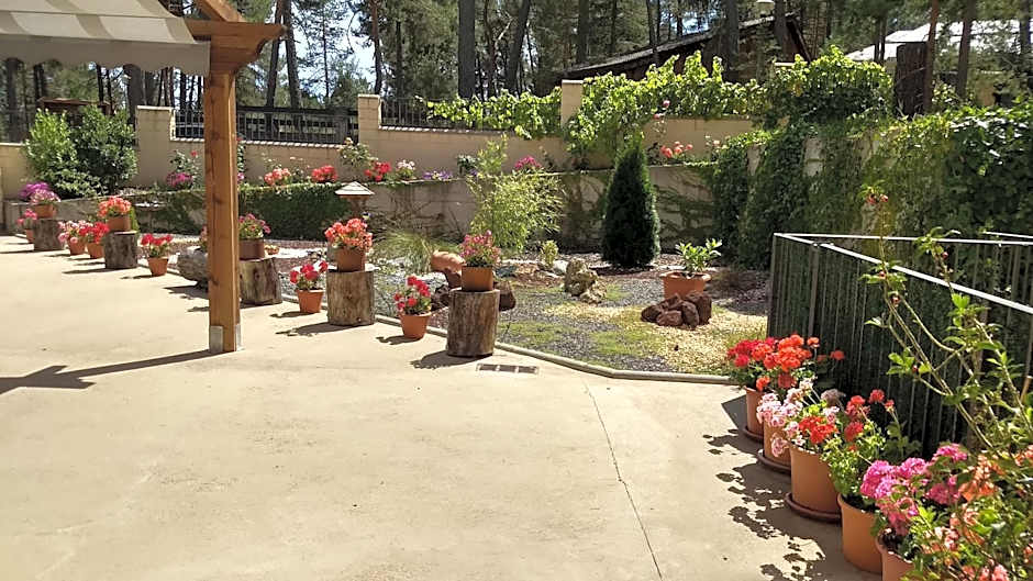 Hotel Rural El Nido de Pinares