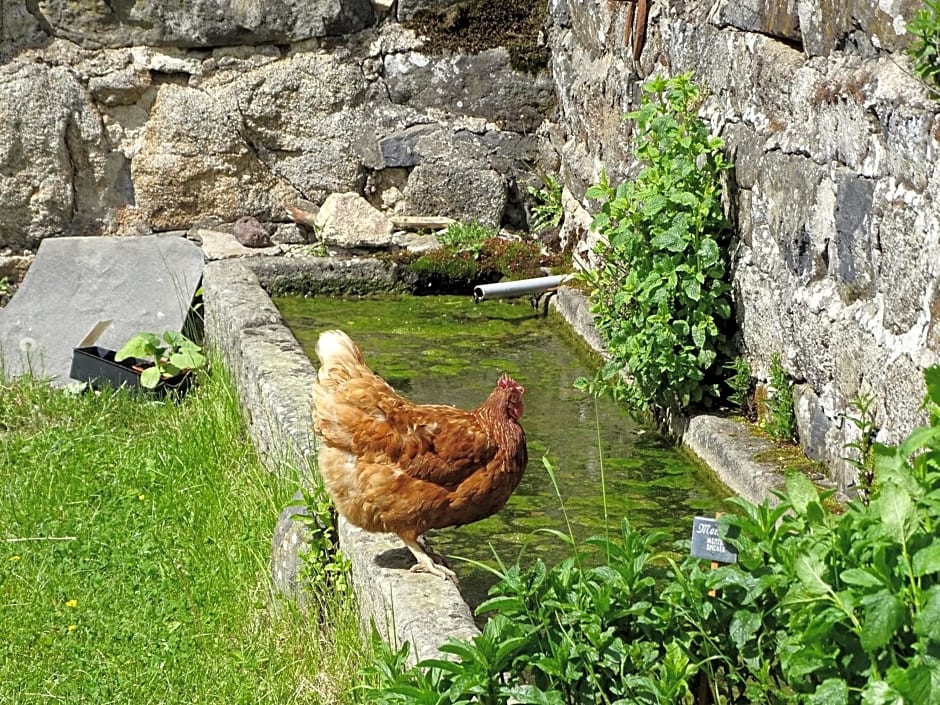 La Ferme de Madelonnet