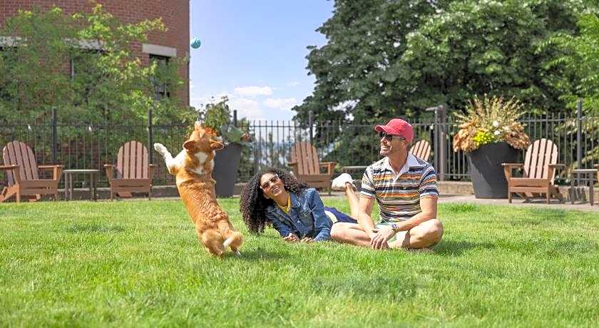 Hotel Champlain Burlington Curio Collection by Hilton