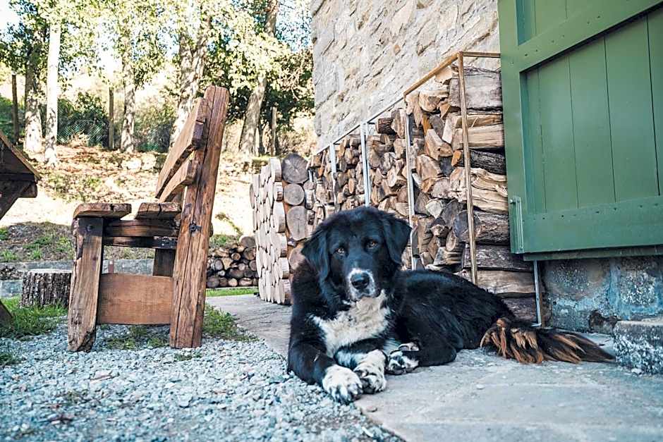 Rifugio Pian di Rocchi