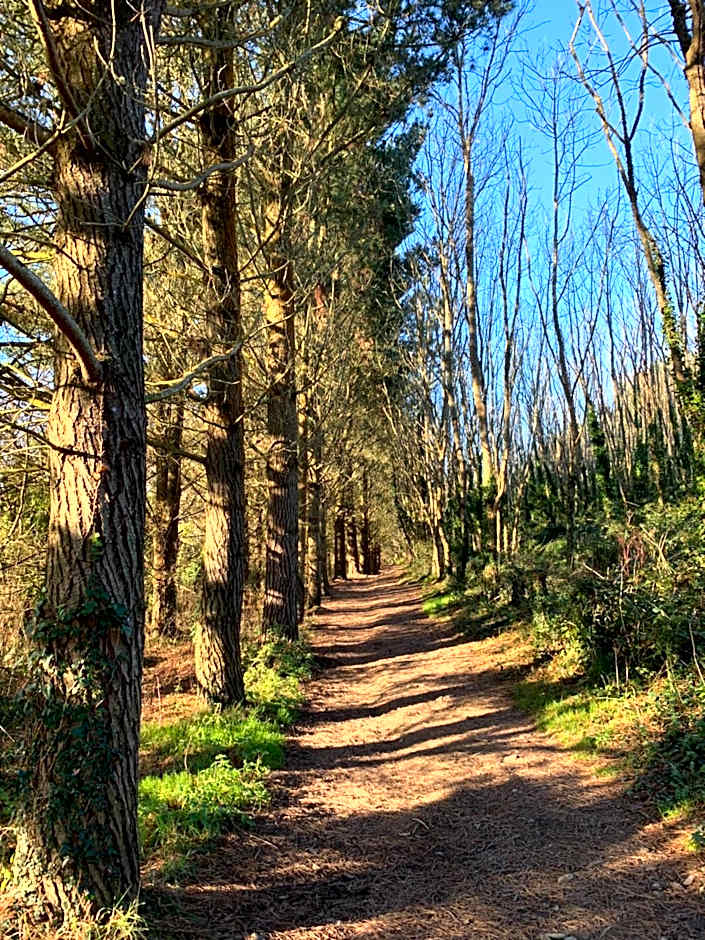 Mawgan Pads Lazy Days Lodge