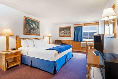 1 King Bed Non-Smoking