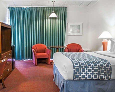 Queen Studio Suite - Non-Smoking