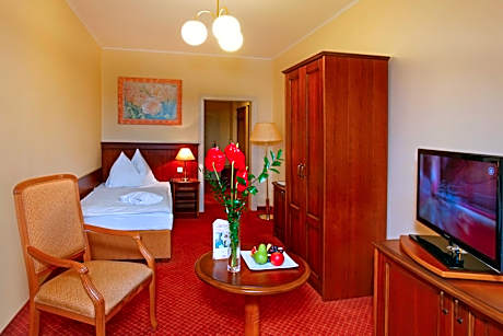 Superior Single Room with Wellness and Fitness Access