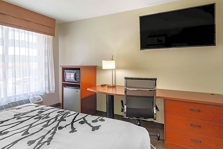 Sleep Inn & Suites Stockbridge Atlanta South
