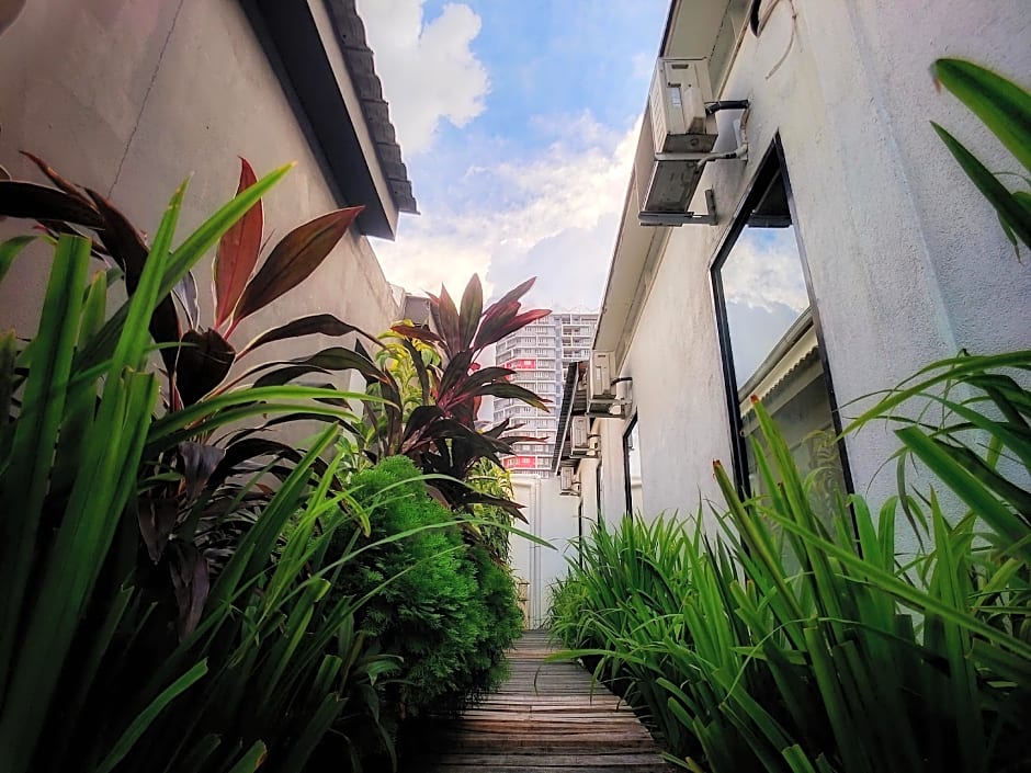 Beds In Garden Hostel